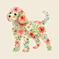 c8e72e2e-98f7-4239-b9bb-2b71ea444de3.png