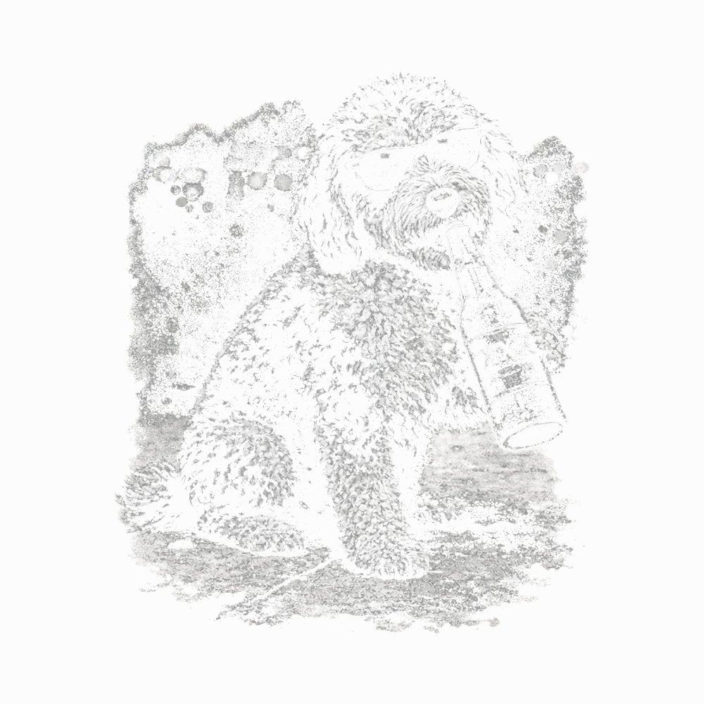 ea2468a2-ffef-47e3-9725-80456de66969.png
